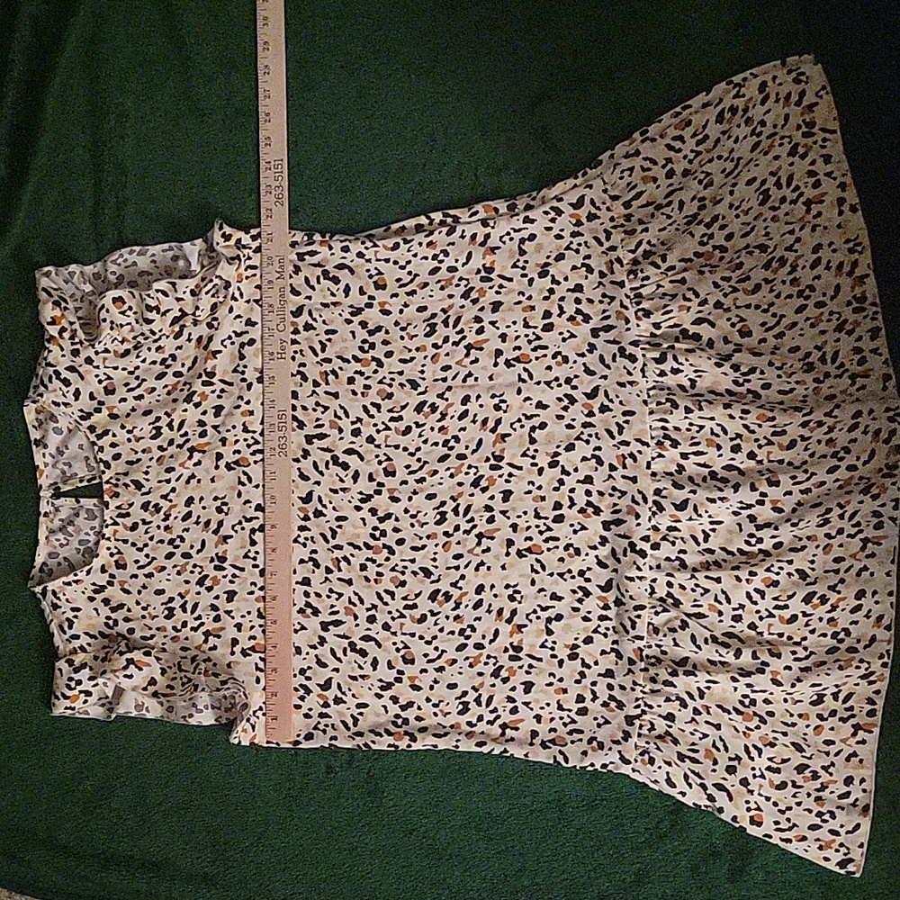 Ladies dress